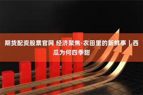 期货配资股票官网 经济聚焦·农田里的新鲜事｜西瓜为何四季甜