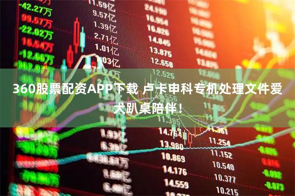 360股票配资APP下载 卢卡申科专机处理文件爱犬趴桌陪伴！